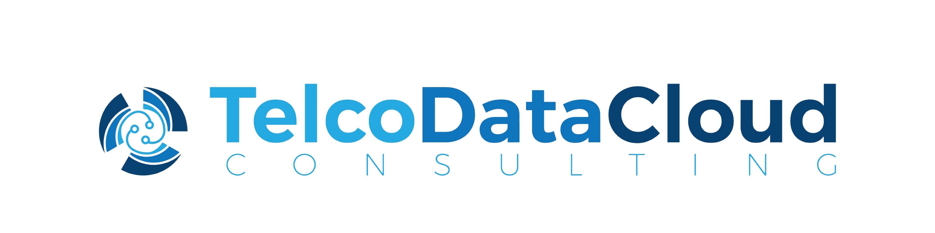 TelcoDataCloud Consulting